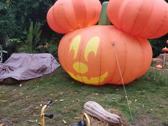 -HERRE·FARM 赫尔露营农场·团建聚会包场