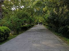 -普陀山风景名胜区-法雨禅寺