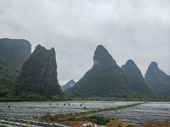 -钟山水墨田园