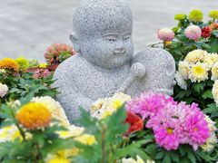 -崇圣寺三塔文化旅游区