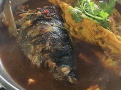昂刺鱼豆腐汤-老虎土菜馆·农家土菜