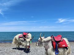 -青海湖国家重点风景名胜区