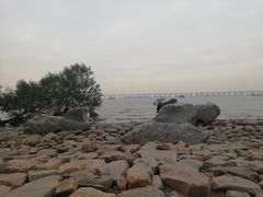 -宝安西湾红树林湿地公园