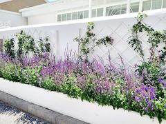 -锦鲤·咖啡(辰熙大厦店)