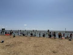 -碧海金沙