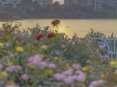 -立新湖公园