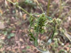 -北京西山国家森林公园