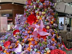 -万达广场(槐房店)