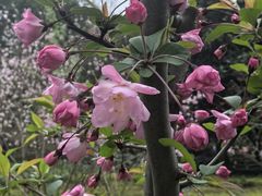 -泰合玺·精油疗愈SPA(南京光环花园城店)