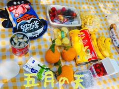 -上海共青森林公园