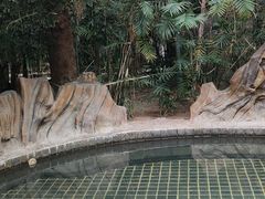 -龙达温泉生态城