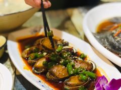 麻辣小鲍鱼-渡海小渔村.老辈日照菜