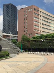 -上海市长宁区妇幼保健院