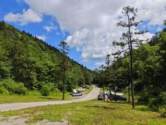 -武陵山森林公园