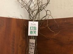 -椿树咖啡