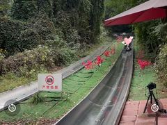 -富斯特索道