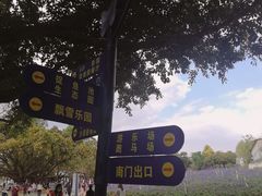 -松山湖梦幻百花洲