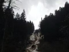 -黄龙山原始森林景区