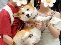 -新光里