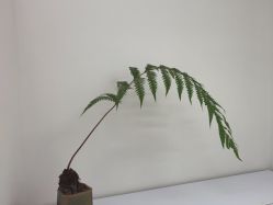 -WENDY·温迪皮肤管理