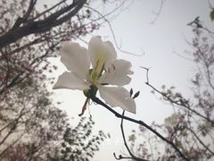 -聚龙山公园