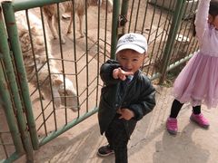 -祥源·阜阳生态乐园