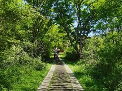 -青龙山国家森林公园