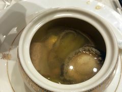 -丁老爷子苏香圆