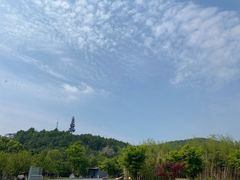 -南京市无想山景区