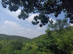 -佛慧山