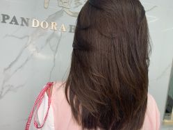 -潘多拉Hairsalon
