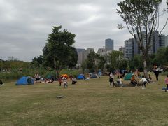 -牛岗山公园