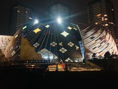 -重庆国际马戏城