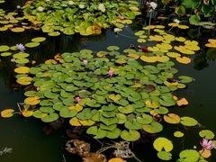 -国家植物园南园