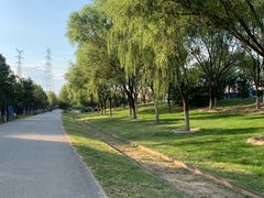 -永定河休闲森林公园