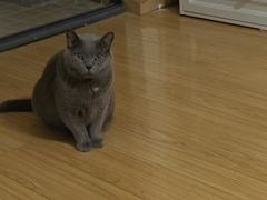 -联合动物医院(光谷诊疗中心)