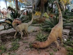 -湖南省地质博物馆