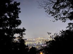-惠山国家森林公园