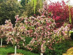 -元大都城垣遗址公园