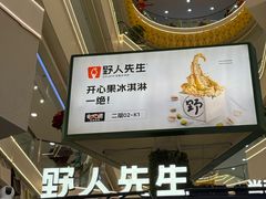 -野人先生Gelato(上海长宁龙之梦店)