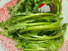 茼蒿-东门口·新式老北京火锅(河西龙湖天街店)