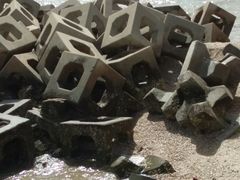 -东疆建设开发纪念公园