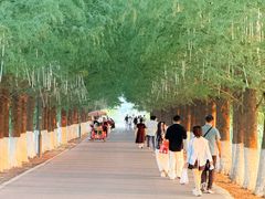 -嘉北郊野公园