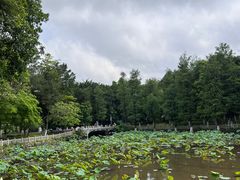 -岭南美术馆