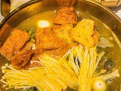 -Darling Queen·Mini·Live·House