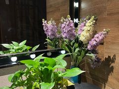 -耕海蟹将军(万象城店)