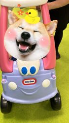 -莫莉幻想儿童乐园(武汉保利广场店)