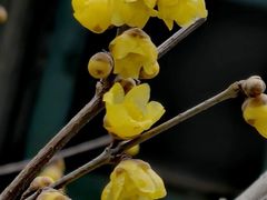 -颐和园