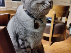 -H立方实景剧情密室(天河旗舰店)