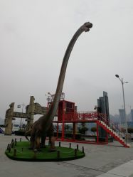 -恐龙探索乐园(磁器口店)